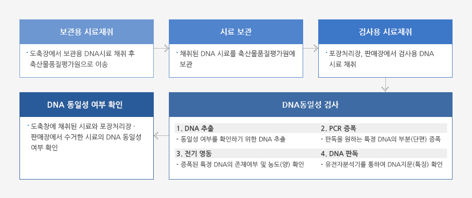 DNA 동일성 검사 자세한 내용은 하단 참조