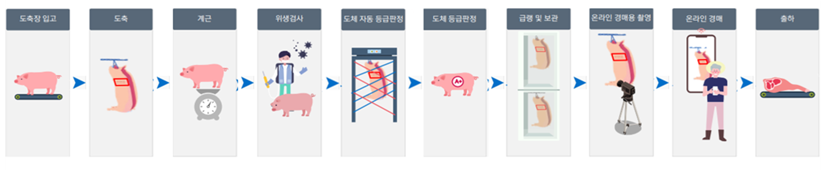 도축장 입고 → 도축 → 계근 → 위생검사 → 도체 자동 등급판정 → 도체 등급판정 → 급랭 및 보관 → 온라인 경매용 촬영 → 온라인 경매 → 출하