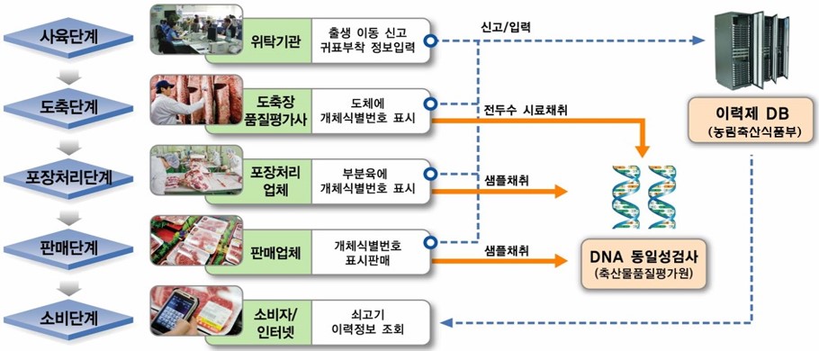 5단계로 이루어진 검사단계로 자세한 내용은 다음의 내용을 참조하세요