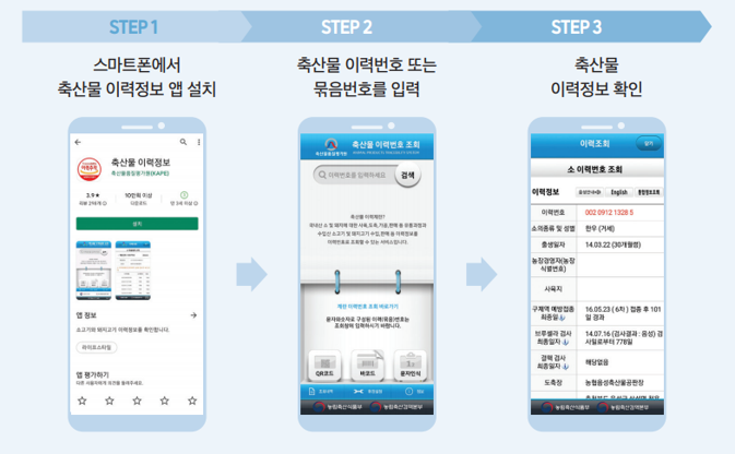 STEP1 스마트폰에서 축산물 이력정보 앱 설치 → STEP2 축산물 이력번호 또는 묶음번호를 입력 → STEP3 축산물 이력정보 확인