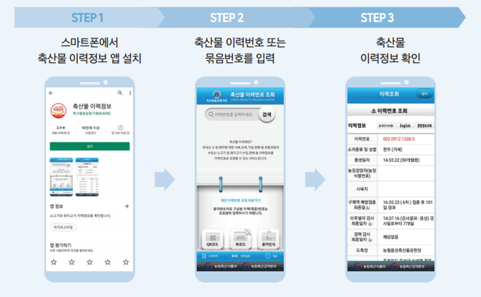 STEP1 스마트폰에서 축산물 이력정보 앱 설치 → STEP2 축산물 이력번호 또는 묶음번호를 입력  → STEP3 축산물 이력정보 확인